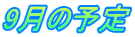 9���̗\��